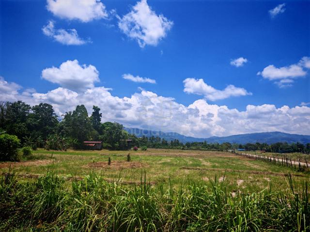NT land bingkor 1