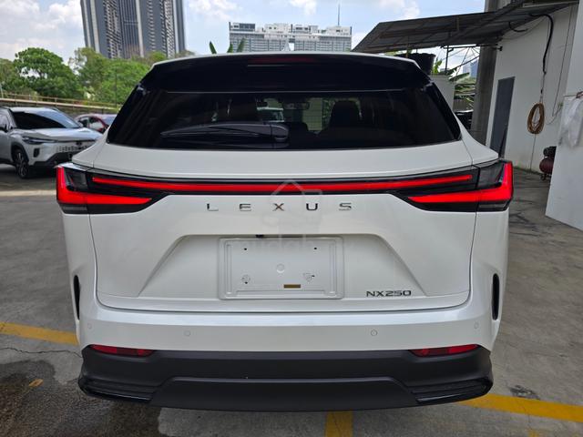 2023 Lexus NX250 2.5 Version L Luxury 5A/15k km - 4