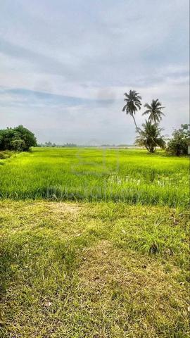 TANAH 4.87Ekar Parit Buntar Untuk Dijual 1