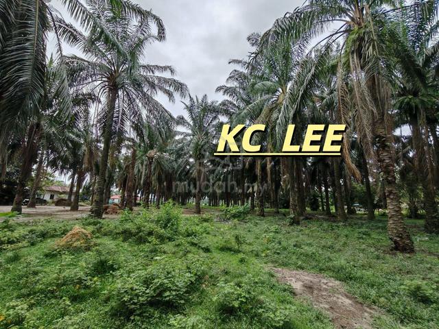 3.6 Acres Agricultural Land For Sale @ Padang Serai , Kedah 1
