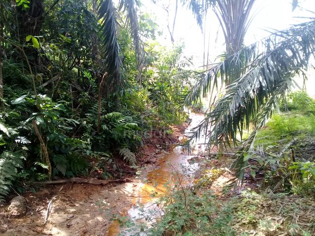 1.6 acres Agri Land, Linggi, Port Dickson N. Sembilan 1