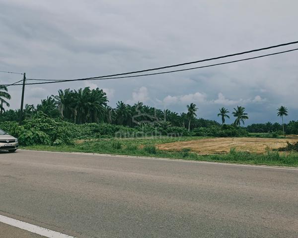 Pahang Kuala Rompin Residential Freehold Land For Sale 1