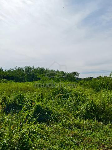 TANAH KAMPUNG Di TENGAH BANDAR ARAU 1