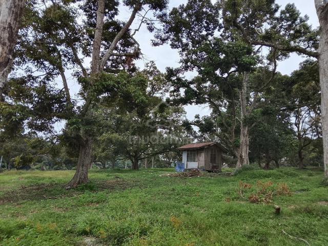 Durian land, Bemban, Ayer Keroh 1