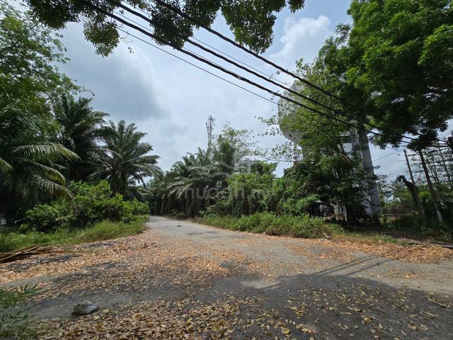 Ayer tawar palm oil freehold land for sale 1