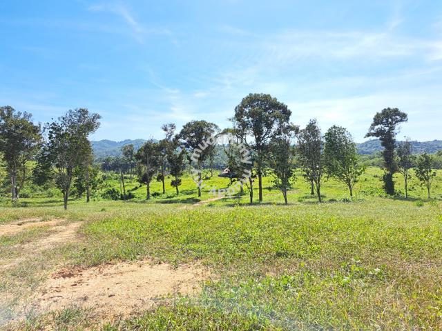 Agriculture Land Kerling, Hulu Selangor 162.6 EKAR 2