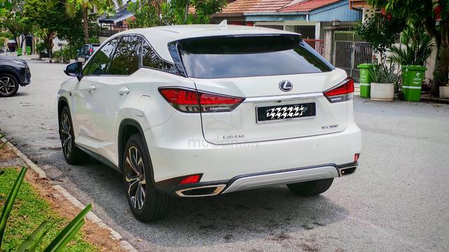 2020 Lexus RX300 2.0 LUXURY (A) 40k+ Mileage only! - 5
