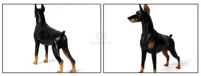 Carousel Image