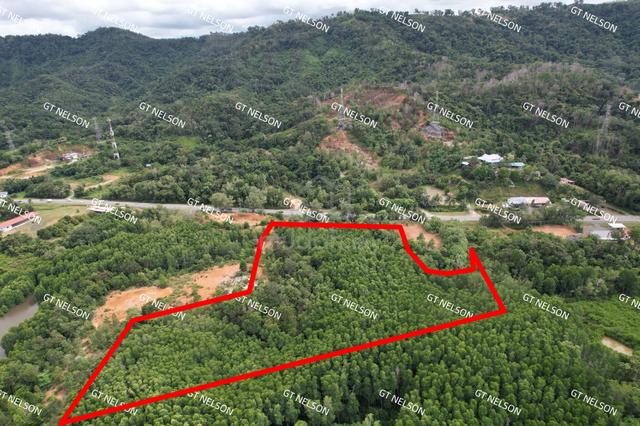 jalan tuaran kampung kindu NT 5.26acre for sale 1