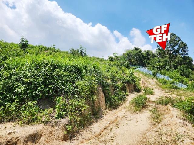5.99 Acre Agricultural Land | Sungai Bakap | Penang b 1