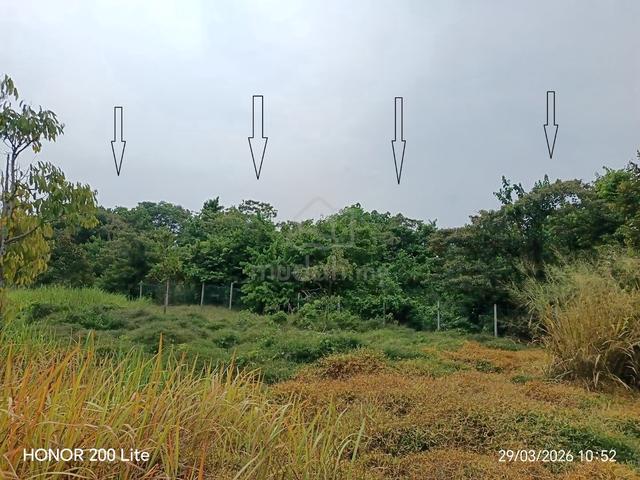 Tanah Di Kpg Sega,Rantau 1
