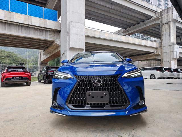 2023 Lexus NX250 2.5 LUXURY (A) GRADE 4.5B - 3