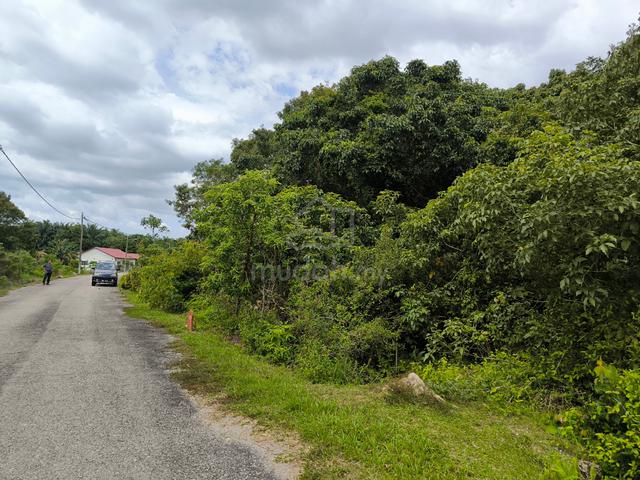 2.575 acres Orchard farm at Nusa Dusun Orchard Resort, Kuala Linggi 1
