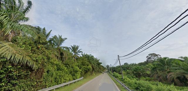 Gemas @ Main Road Access Agricultural Land For Sale (Negeri Sembilan) 1