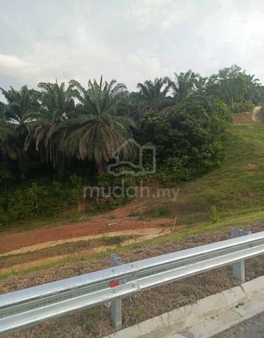 Tanah Pertanian Sawit di tepi Lebuhraya lingkaran tengah utama (Csr) 1