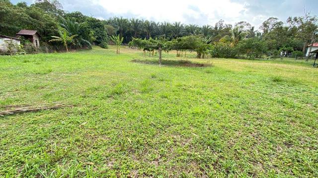 Tanah Rata Sesuai Kediaman Pertanian Rembau Pedas FREEHOLD Utk DiJual 1