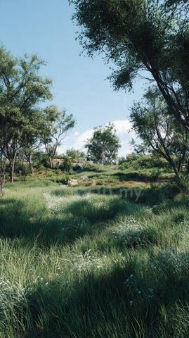 1.5 Acres Agricultural Land, Simpang Ampat Alma Kulim Bukit Minyak 1