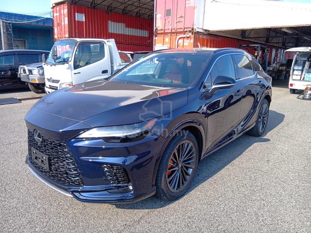 2024 BOOKNOW MLevinson Mica Blue RX350 F SPORT - 3
