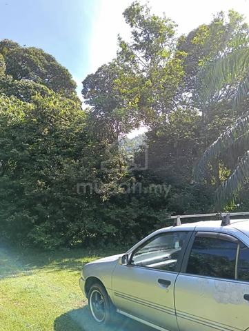 Tanah Dusun untuk dijual di Semeling Kedah 5