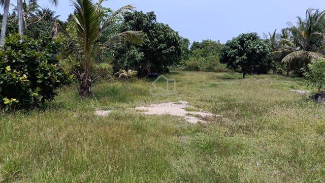 For Sale: Tanah Kebun Area Kuala Linggi 1