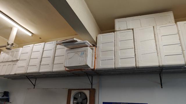 polystyrene foam cool box.  保丽龙冷藏箱 - photo 2 of 6