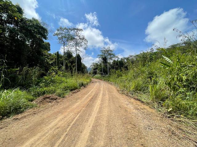 JERANTUT -  RM 50/acre 1