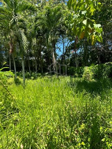 Signal Hill bungalow lot | Likas | For Sale 1