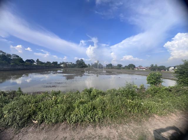 Tanah sawah untuk dijual 1