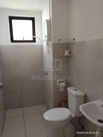Tri Pinnacle Master room for rent free utility area Tanjung Tokong 3
