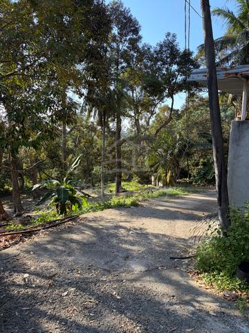 Agriculture Land for Sale (Direct Owner) 1