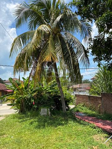 Telok Mas 1