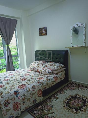 Suriana D'Royal 3