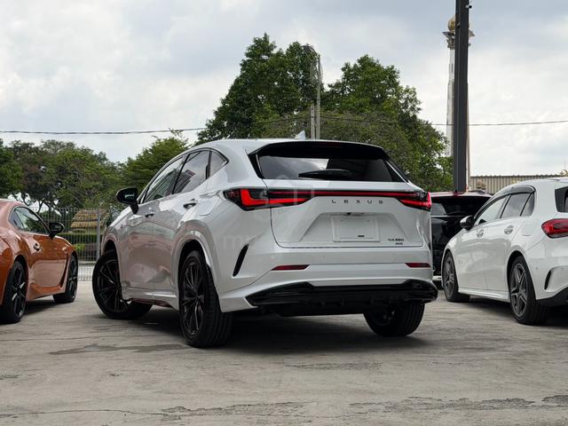2025 Lexus NX350 2.4 F-SPORT RED INTERIOR - 2