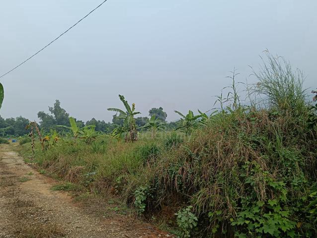 Tanah Pertanian untuk dijual - Merbok Kedah 1