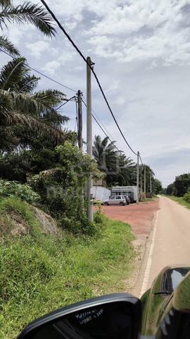 Mukim kesang, muar, agriculture land(beside road) 1