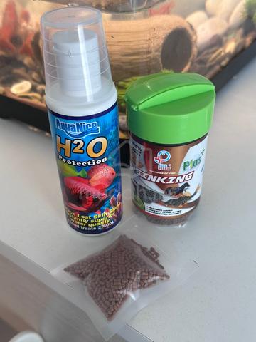 Live Red Crayfish + Complete Aquarium Set 🦞 - photo 4 of 5