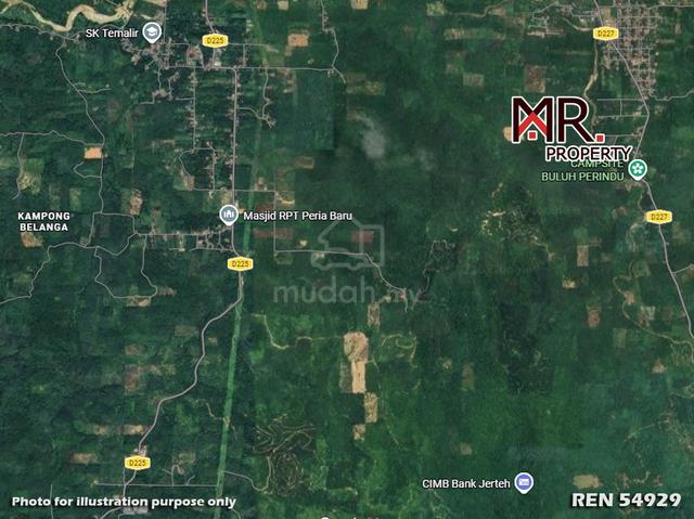 GOOD INVESTMENT Oil Palm Farm Kuala Krai Kelantan FOR SALE 1