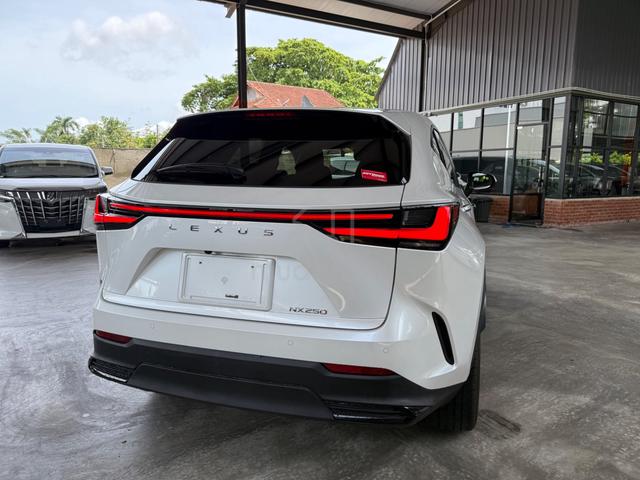 2023 Lexus NX 250 2.5 LUXURY (A) - 3