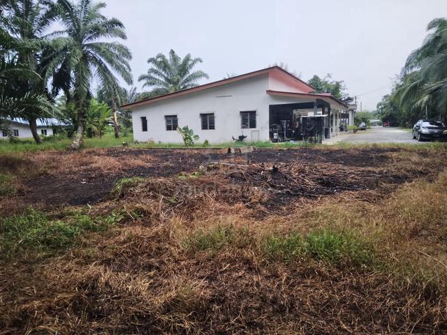 Tanah kelapa sawit  untuk dijual 1