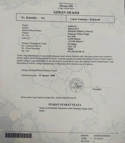 tanah begeran serta sawit usia 13tahun 1