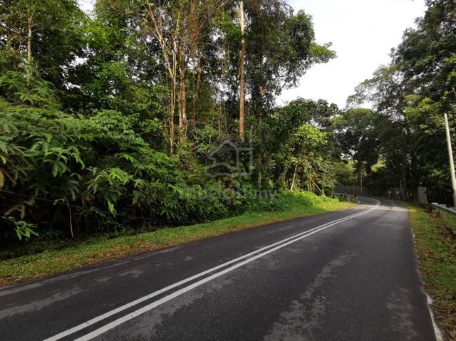 Janda Baik Land 3