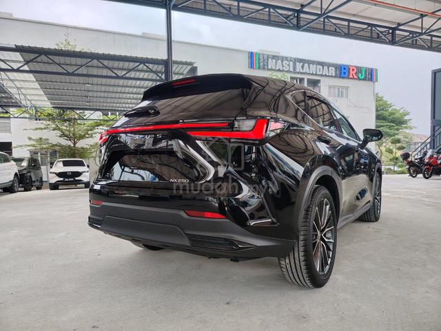 2022 Lexus NX250 2.5 LUXURY (A) GRADE 4.5B - 4