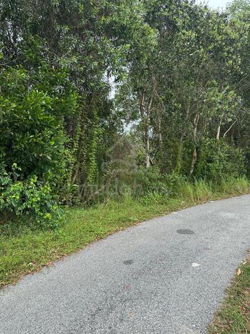 4 Lot Tanah di Telong Bachok untuk dijual 1
