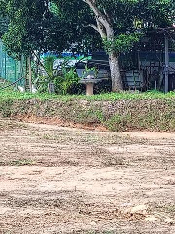 Lot banglo di Kg kuala Gemuruh 1