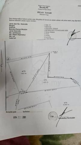 Tanah Dusun untuk dijual di Padang Terap 3