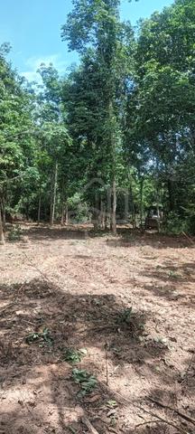 Tanah Tepi Jalan Mukim Binjal 4