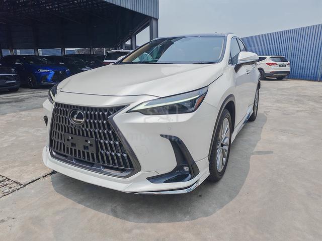 2022 Lexus NX250L, VER L,MODELISTA BODYKIT,PANROOF - 1