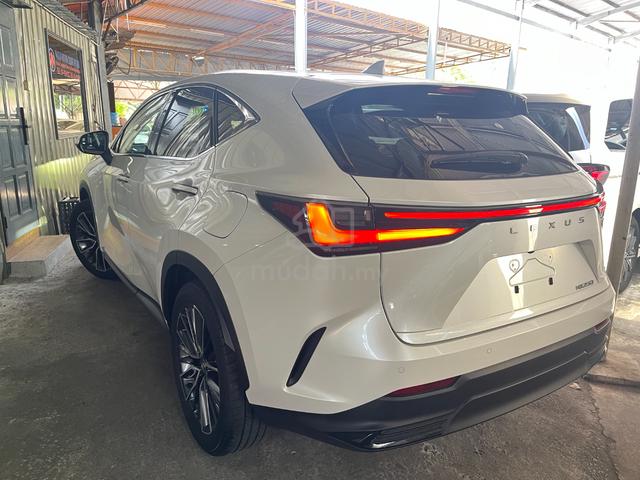 2023 Lexus NX 250 2.5 LUXURY (25k Milleage ) 5A - 4