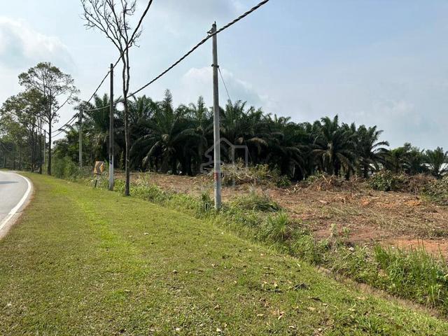 Bukit Batu Kulai Land for sale 1