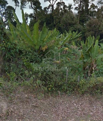 Land For Sale 1